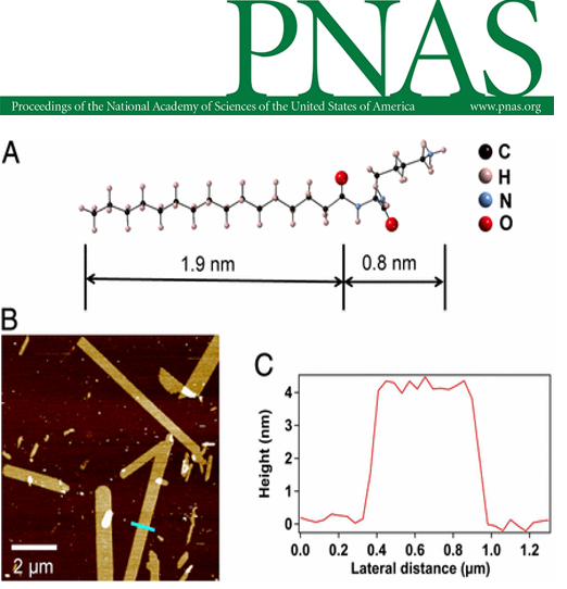 Publications: Center for Regenerative Nanomedicine (CRN) - Northwestern ...