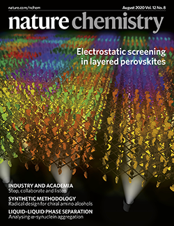 Nature Chemistry journal cover