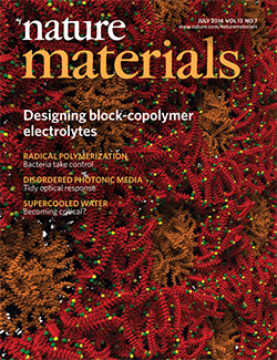 Nature Materials journal cover