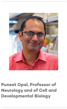 Puneet Opal, Professor of Neurology and of Cell and Developmental Biology